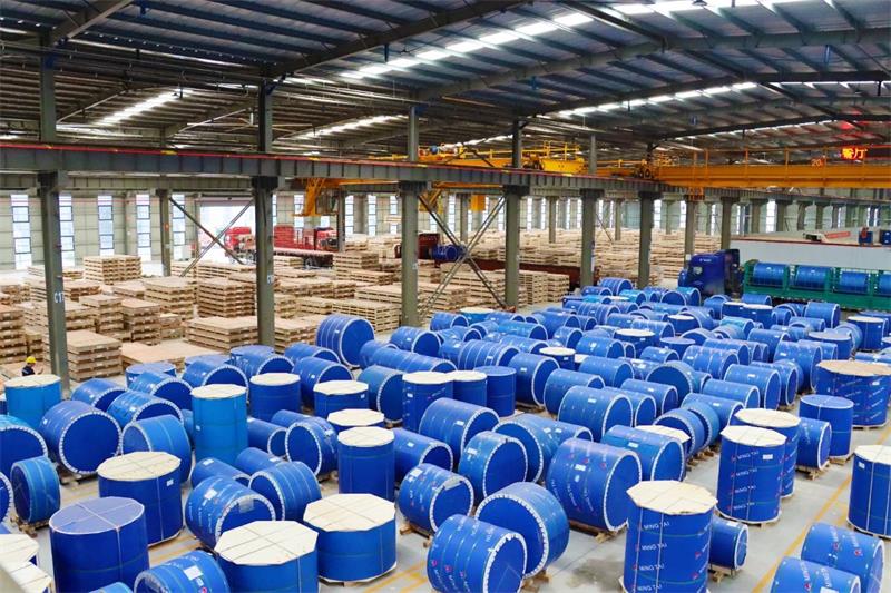 匠心坚守，载誉而归！明泰铝业荣获“美豫名品”称号